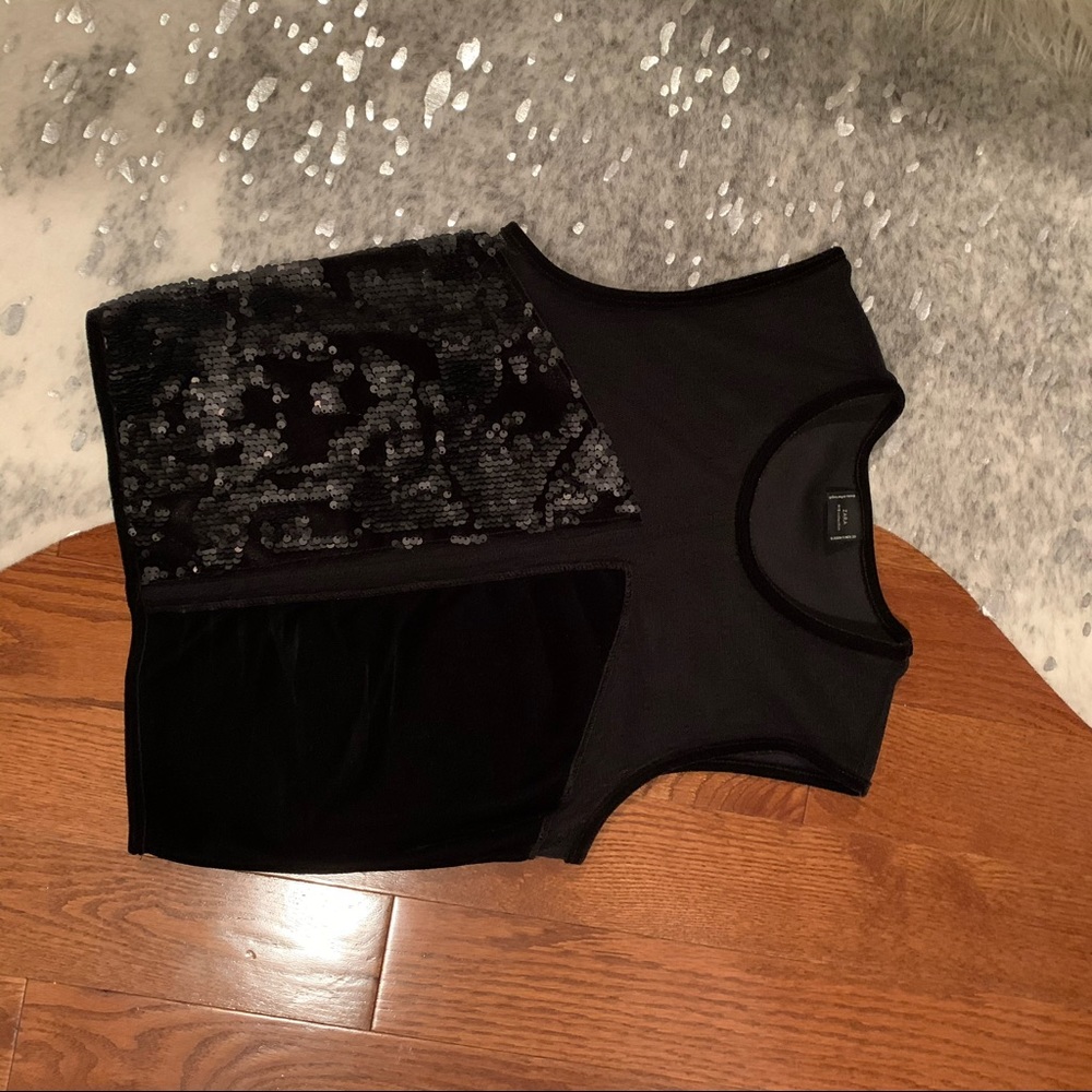 Zara mesh and detailed top